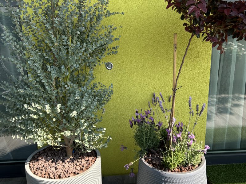 Mikro navodnjavanje - detalj ugradnje